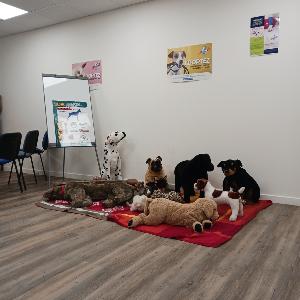 Formation de Premiers Secours Chien et Chat : Retour sur la Session du 14 Dcembre 2024